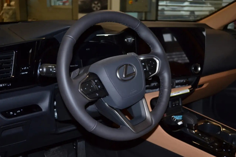 car Lexus NX Series id310078 photo #4
