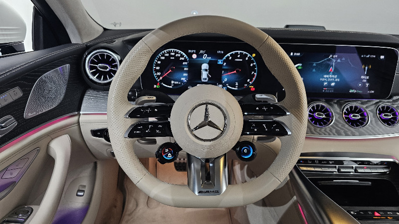 car Mercedes AMG GT id310530 photo #13