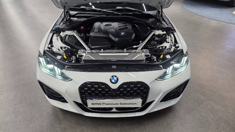 car BMW 4 Series id310914 photo #6