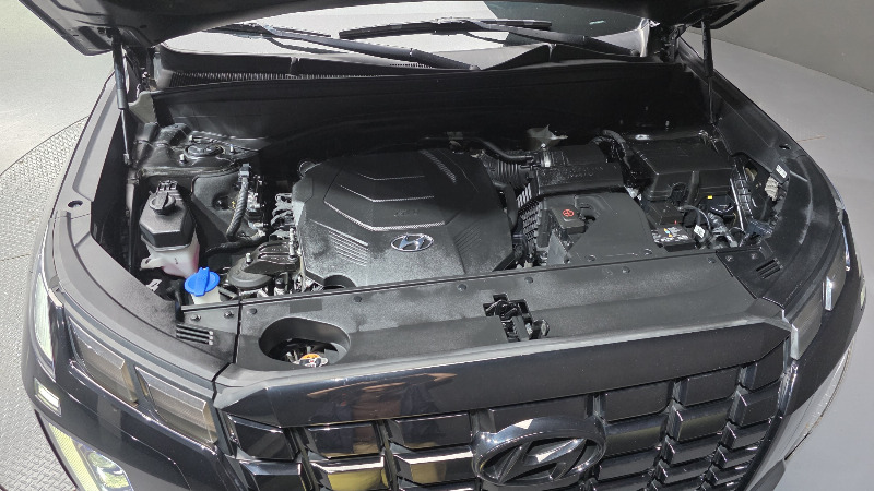 car Hyundai Palisade id311159 photo #6