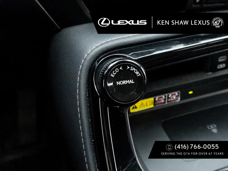 car Lexus NX Series id311612 photo #19