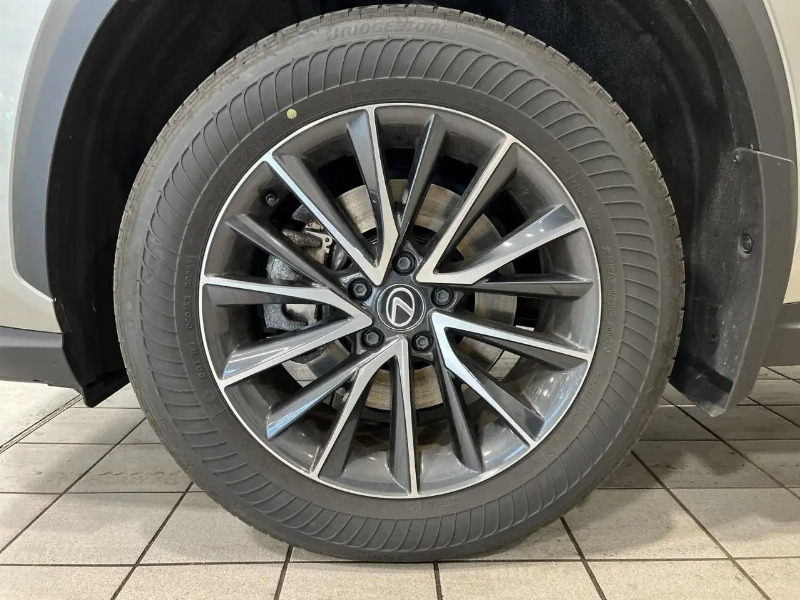 car Lexus NX Series id315677 photo #9