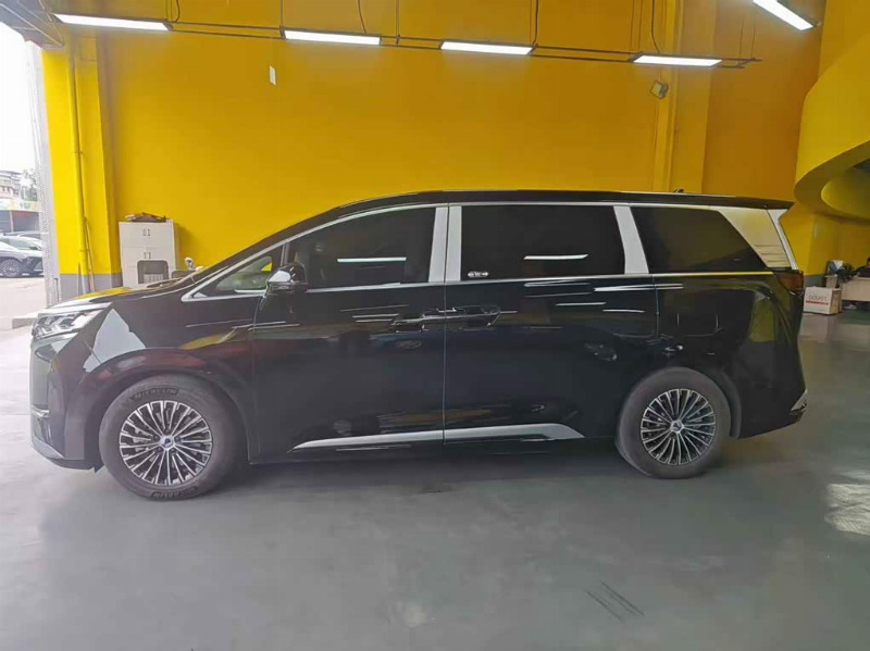 car Denza D9 id315932 photo #5