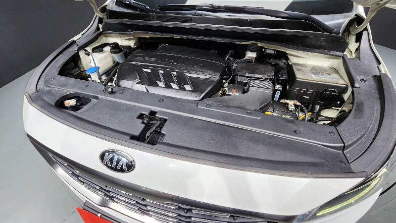 car KIA Carnival id316620 photo #6