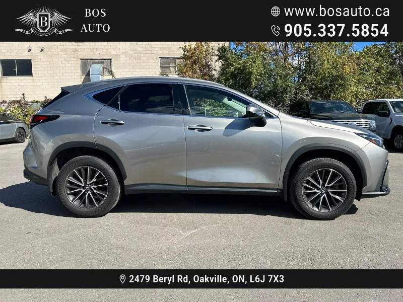 car Lexus NX Series id317599 photo #3
