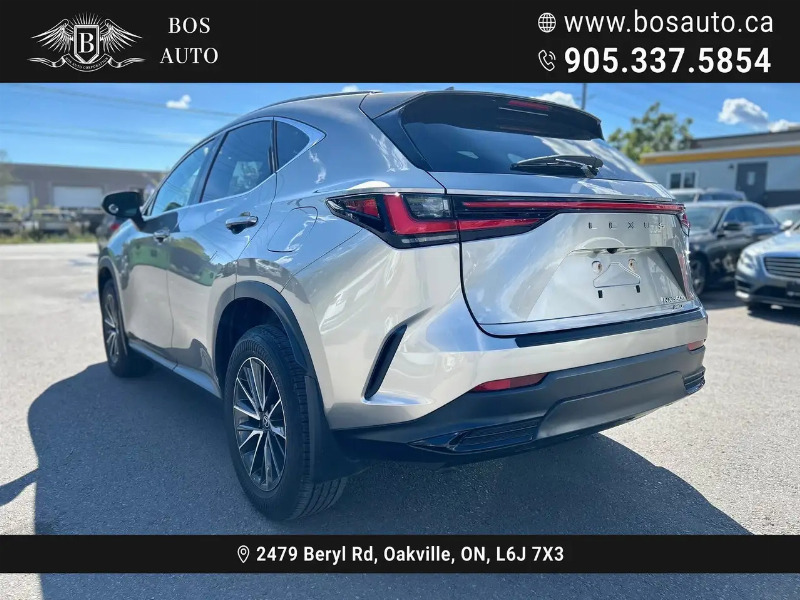 car Lexus NX Series id317599 photo #6