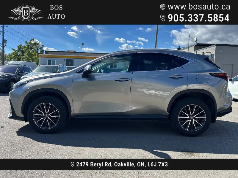 car Lexus NX Series id317599 photo #7