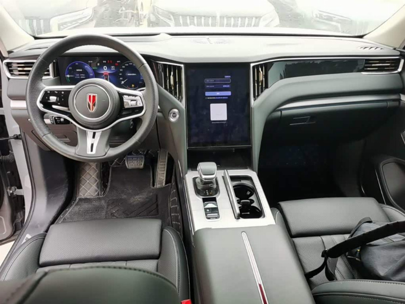 car Hongqi HS7 id318768 photo #10