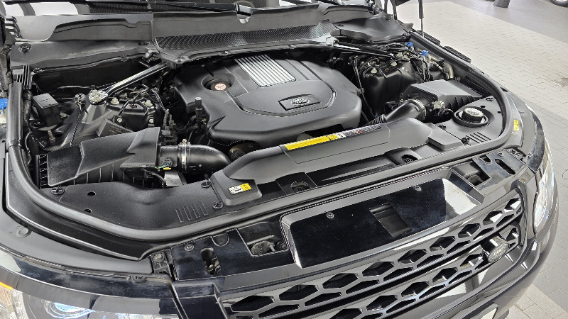 car Land Rover Range Rover id320224 photo #6