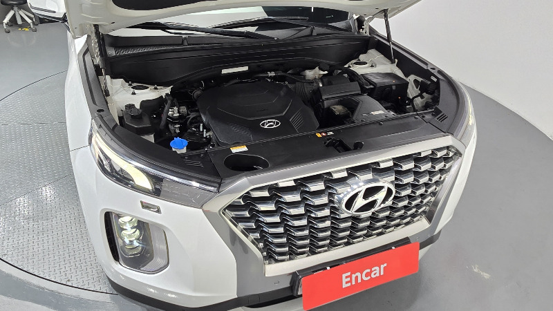 car Hyundai Palisade id321418 photo #6