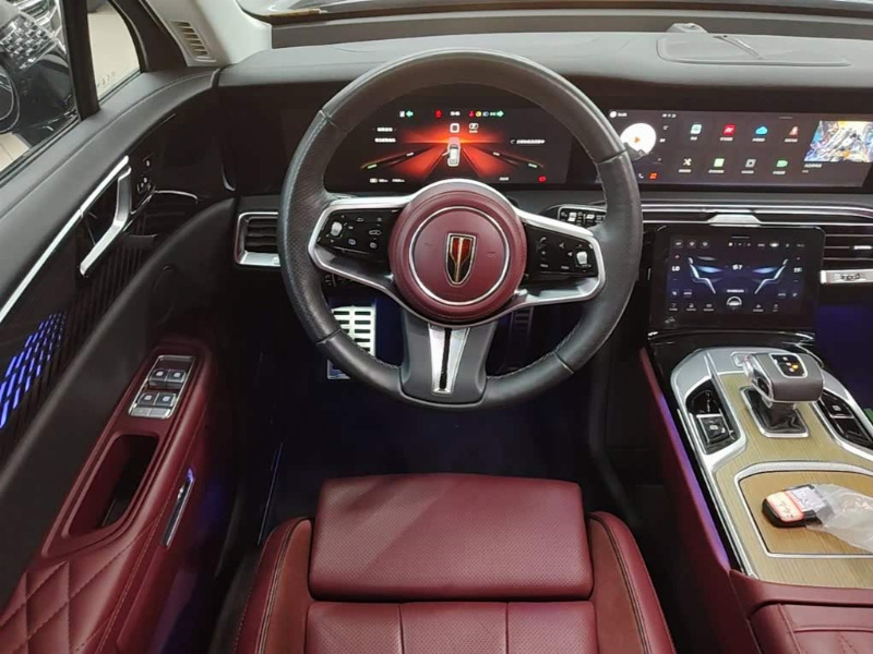 car Hongqi E-HS9 id321588 photo #11