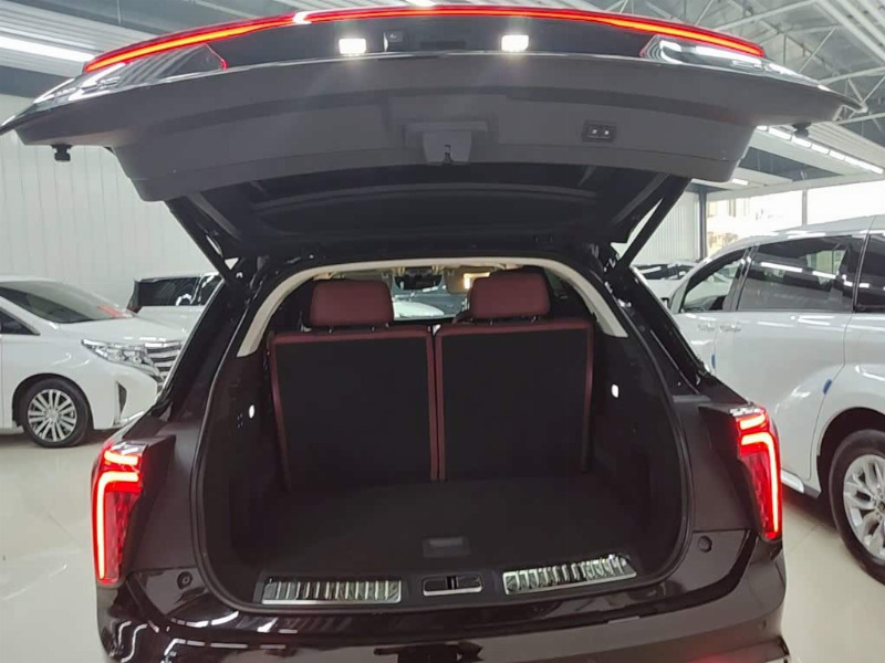 car Hongqi E-HS9 id321588 photo #19