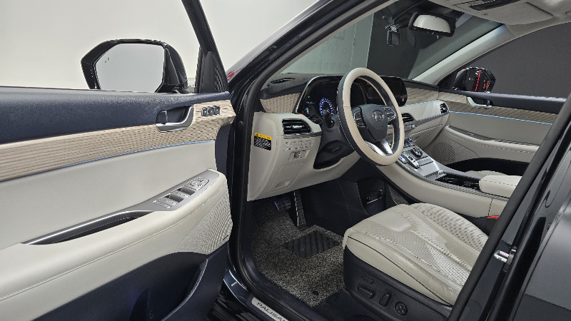 car Hyundai Palisade id322904 photo #10