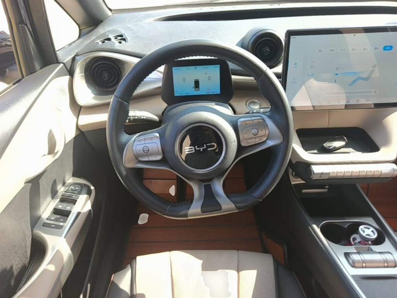 car Byd Dolphin id324672 photo #11