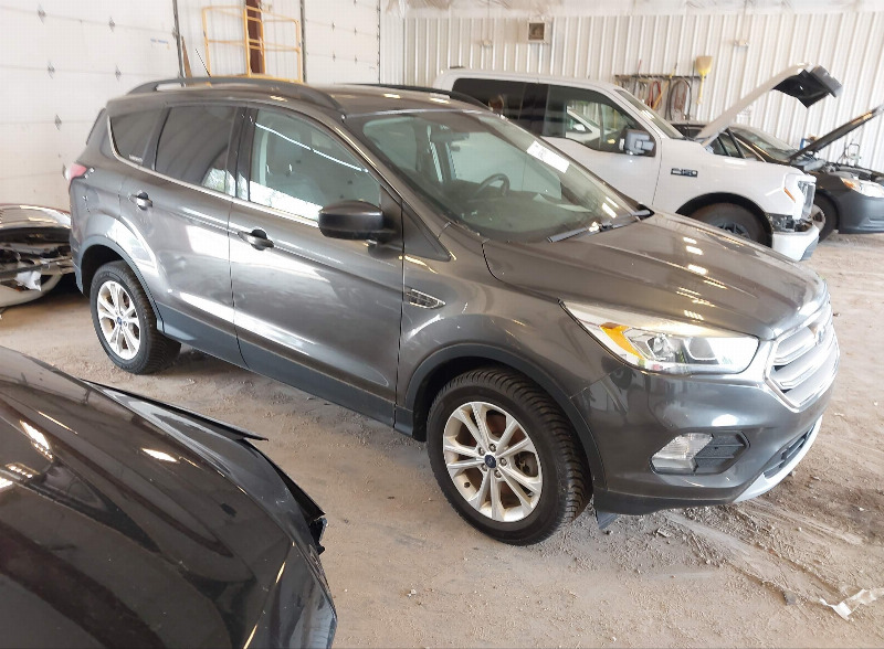 car Ford Escape id325302 main photo