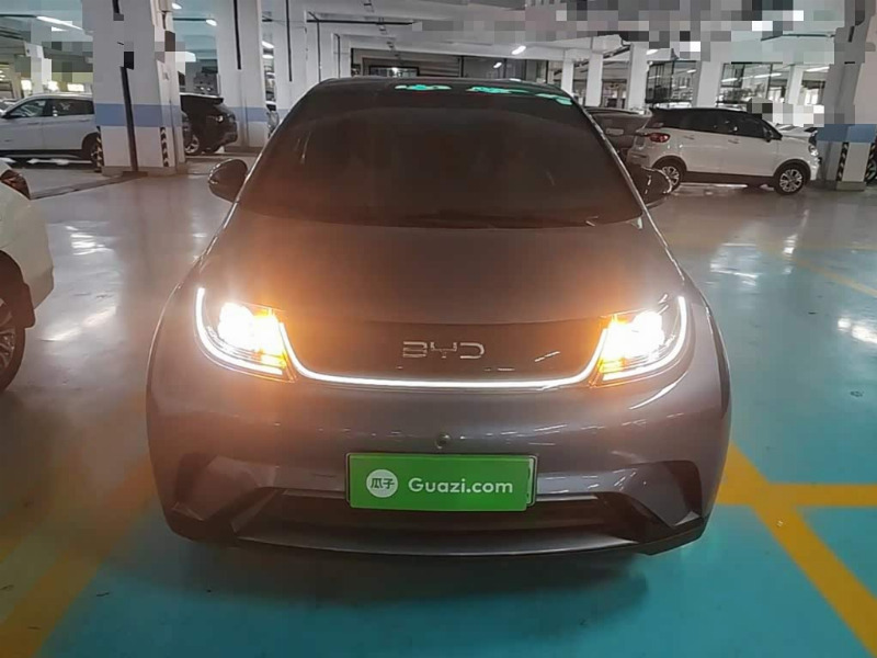 car Byd Dolphin id325438 photo #3