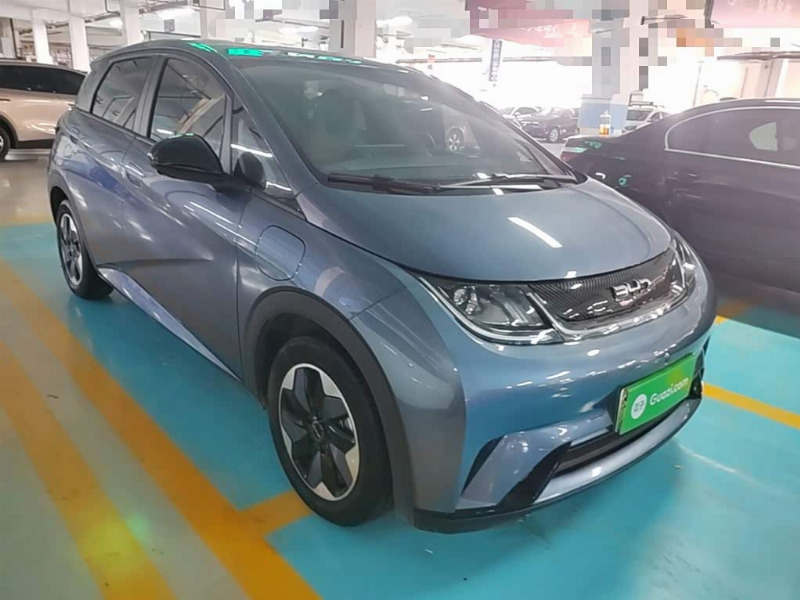 car Byd Dolphin id325438 photo #4