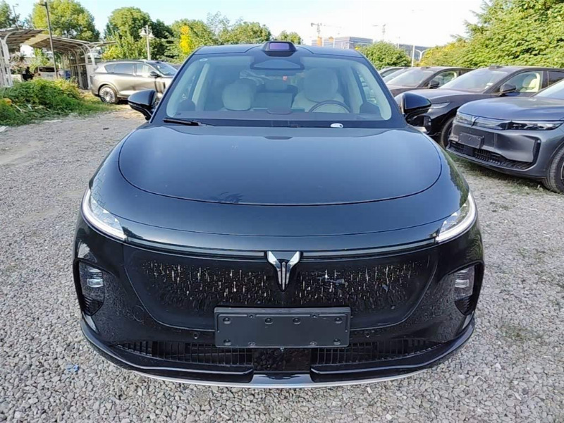 car Voyah Dream id325659 photo #3