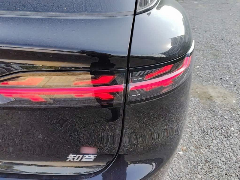 car Voyah Dream id325659 photo #8
