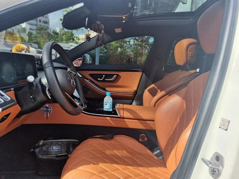 car Mercedes S-Class id325749 photo #9