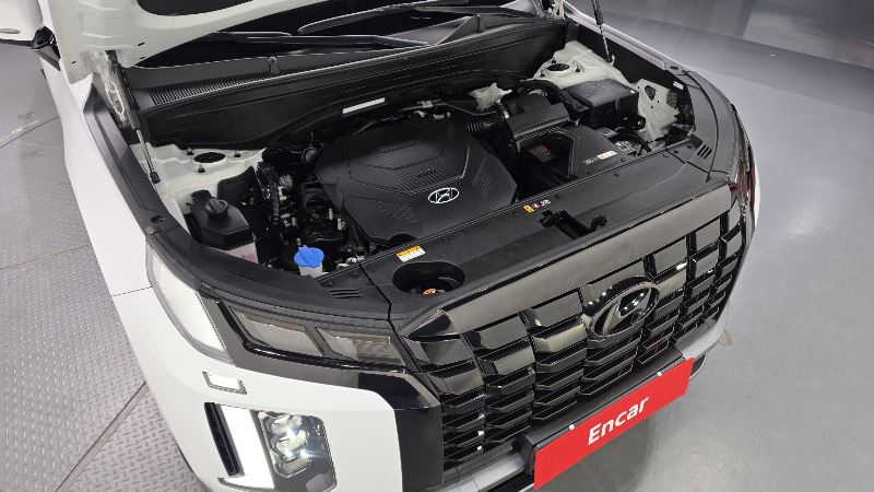 car Hyundai Palisade id325776 photo #6