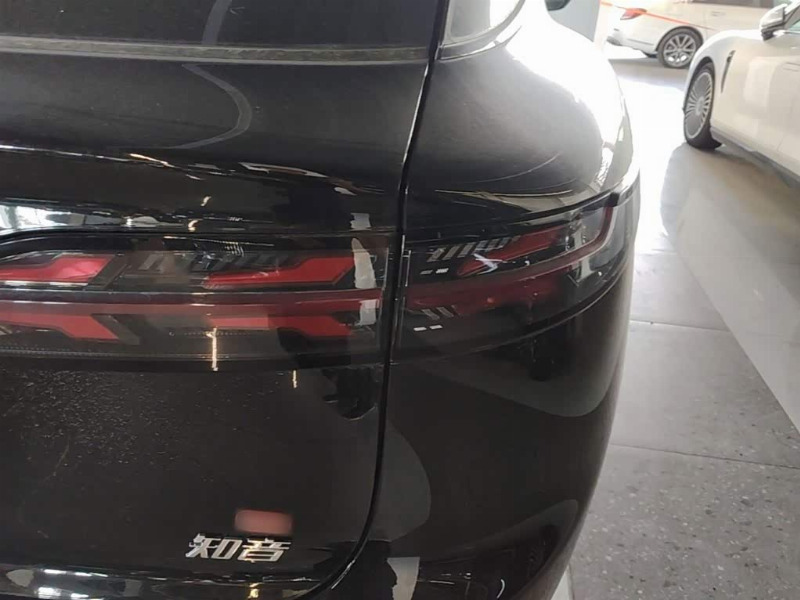 car Voyah Dream id325817 photo #8