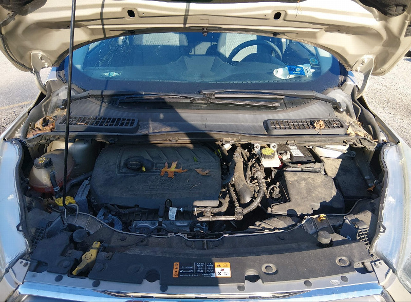 car Ford Escape id327075 photo #10