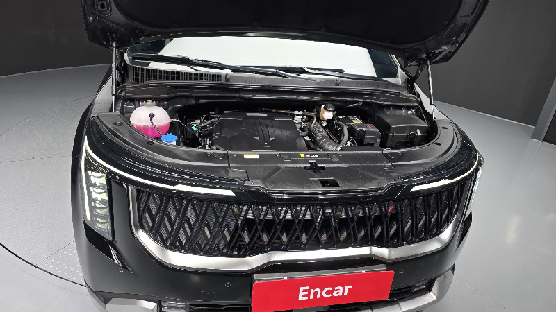 car KIA Carnival id328526 photo #6