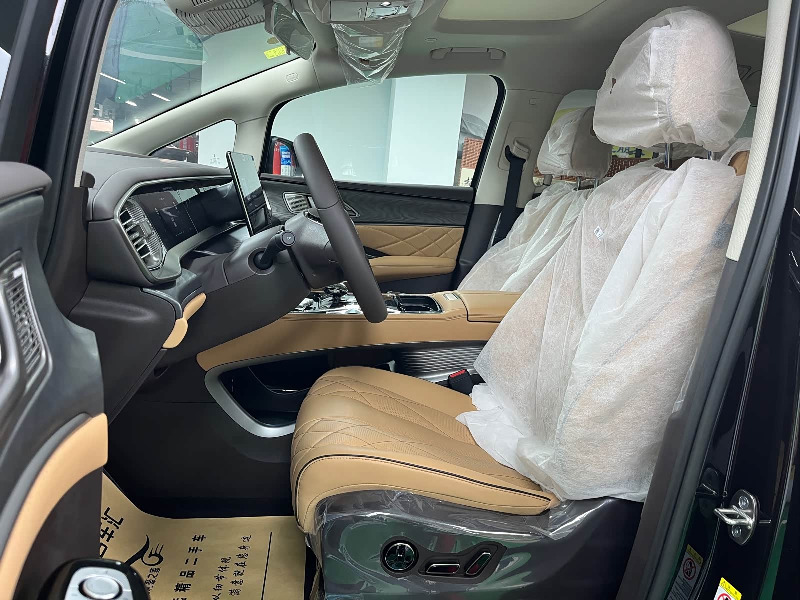 car Denza D9 id328754 photo #5