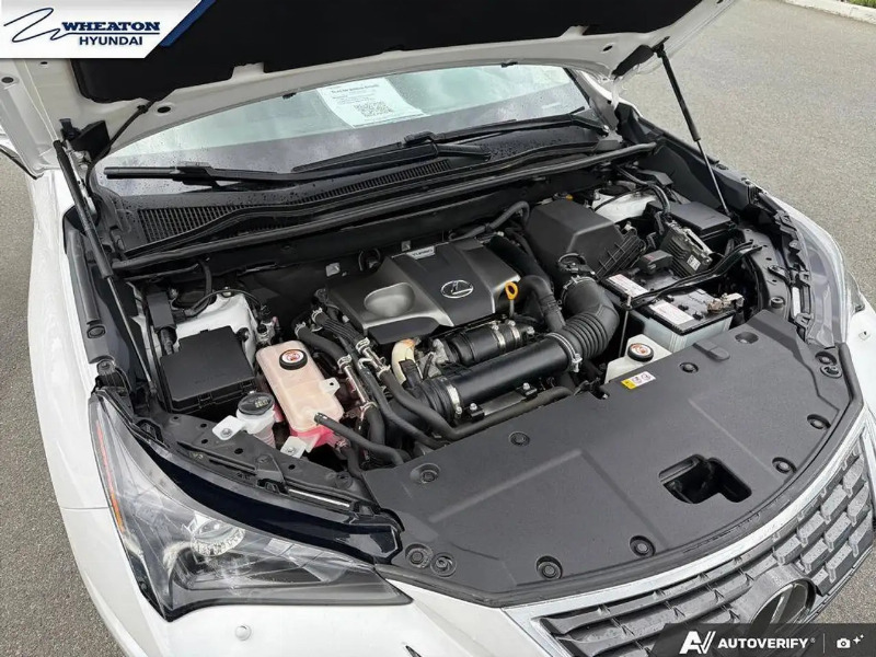 car Lexus NX Series id330732 photo #10