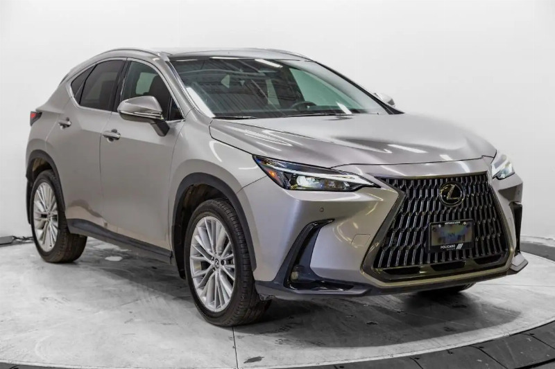 car Lexus NX Series id331248 main photo
