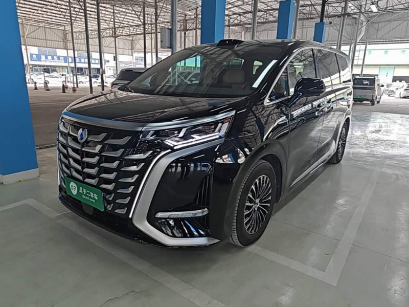 car Denza D9 id331655 photo #2