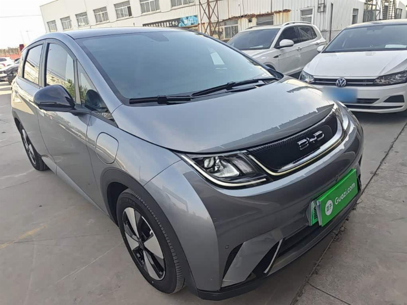 car Byd Dolphin id332131 photo #4