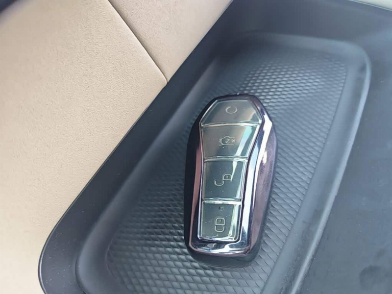 car Byd Dolphin id332131 photo #9