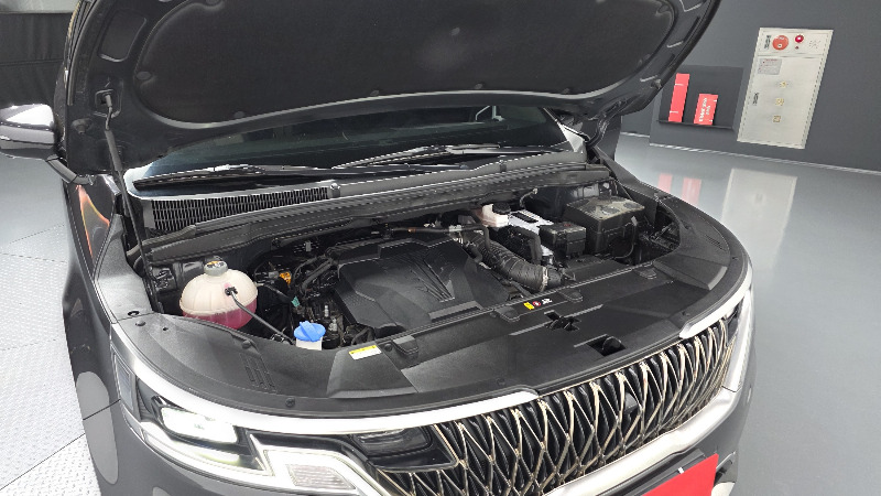 car KIA Carnival id333076 photo #6