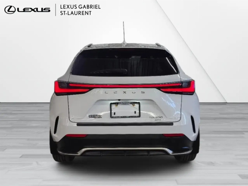 car Lexus NX Series id333493 photo #6