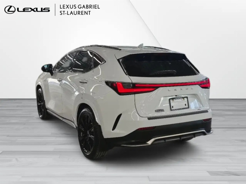 car Lexus NX Series id333493 photo #8