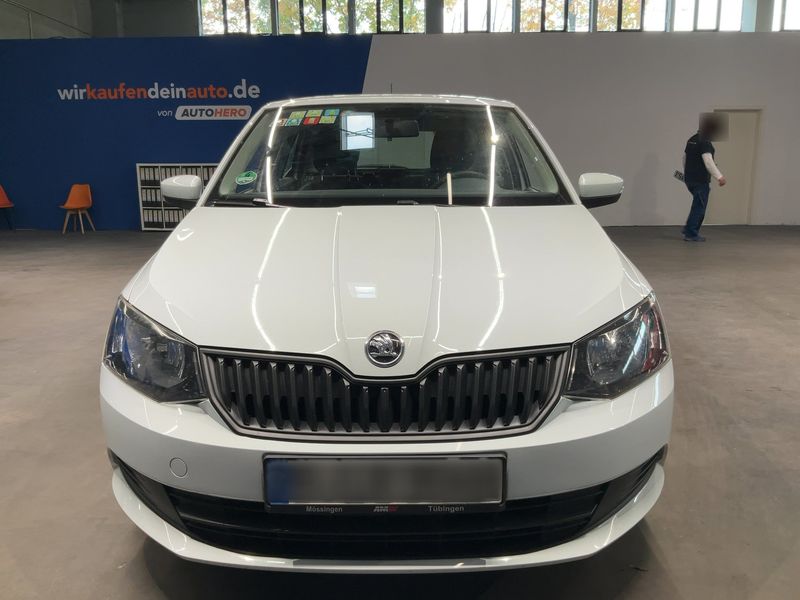 car Skoda Fabia id333646 photo #9