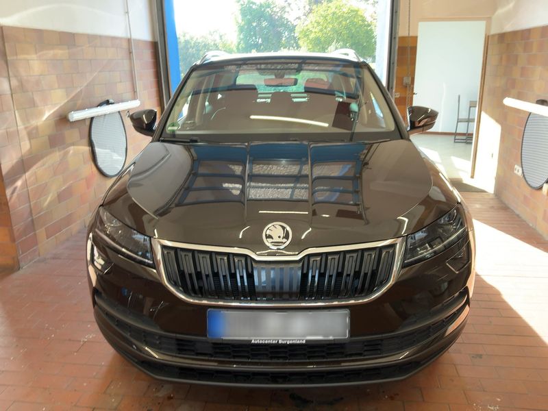 car Skoda Karoq id333679 photo #9