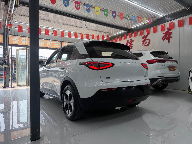 car Geely Geome Xingyuan id335264 photo #5