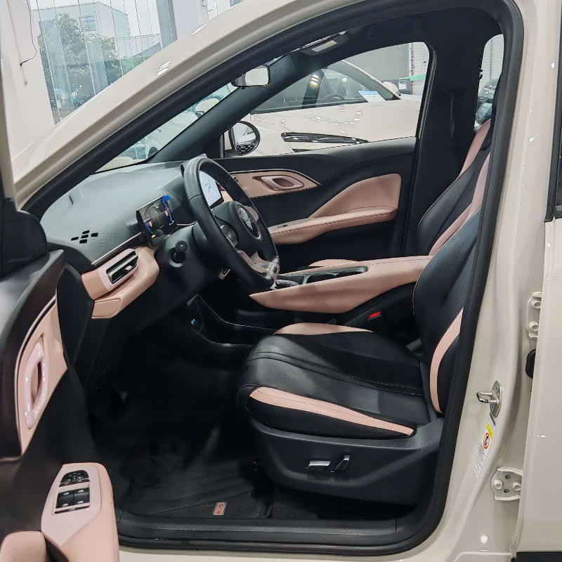 car Byd Seagull id336776 photo #8