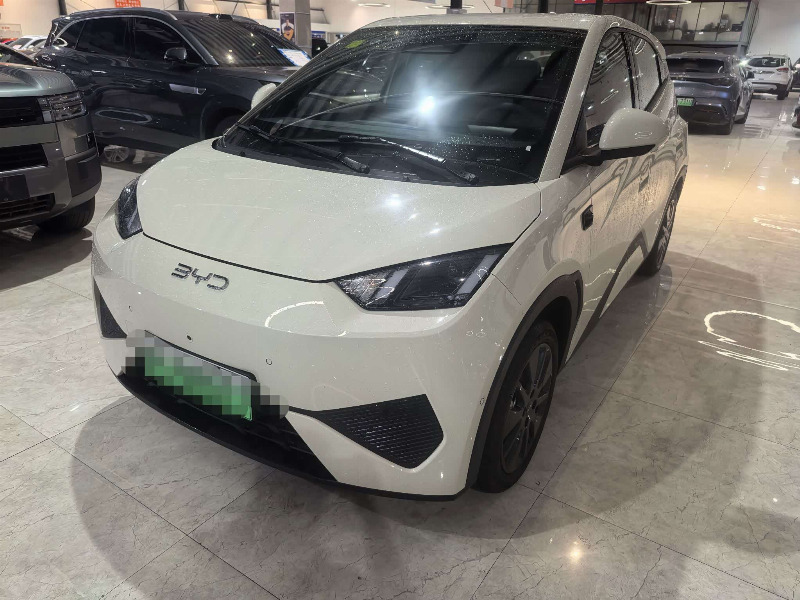 car Byd Seagull id337396 main photo