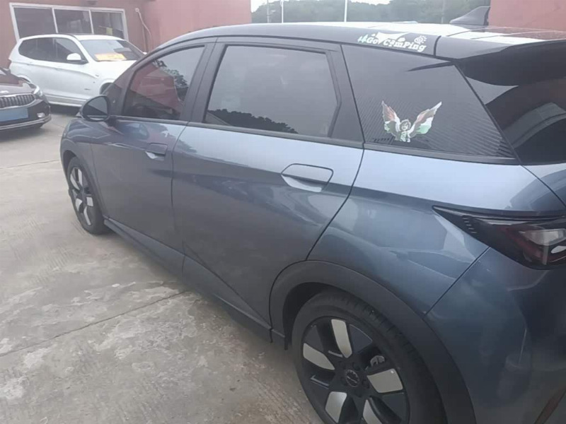 car Byd Dolphin id338286 photo #5