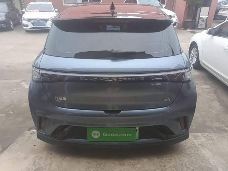 car Byd Dolphin id338286 photo #6