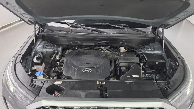 car Hyundai Palisade id338320 photo #6