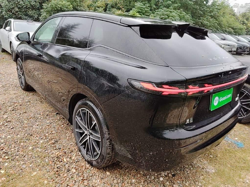 car Voyah Dream id339861 photo #5