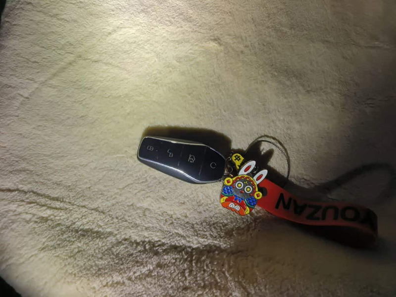 car Byd Song Pro id340416 photo #9