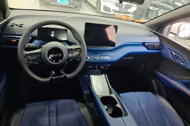 car Byd Seagull id340417 photo #12
