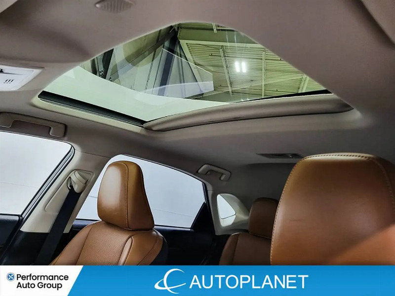 car Lexus NX Series id340814 photo #14