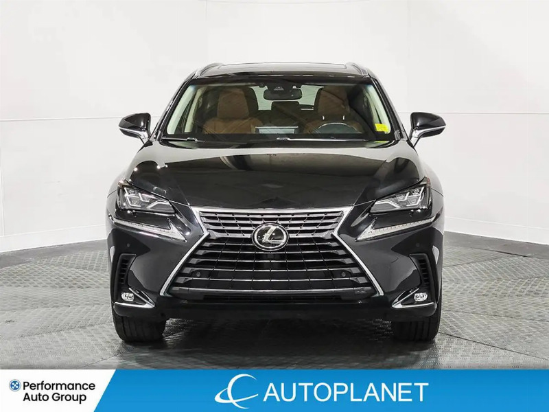 car Lexus NX Series id340814 photo #2